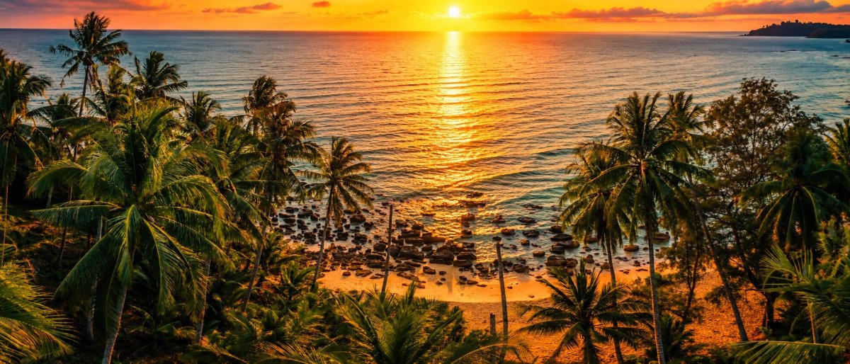 goa honeymoon