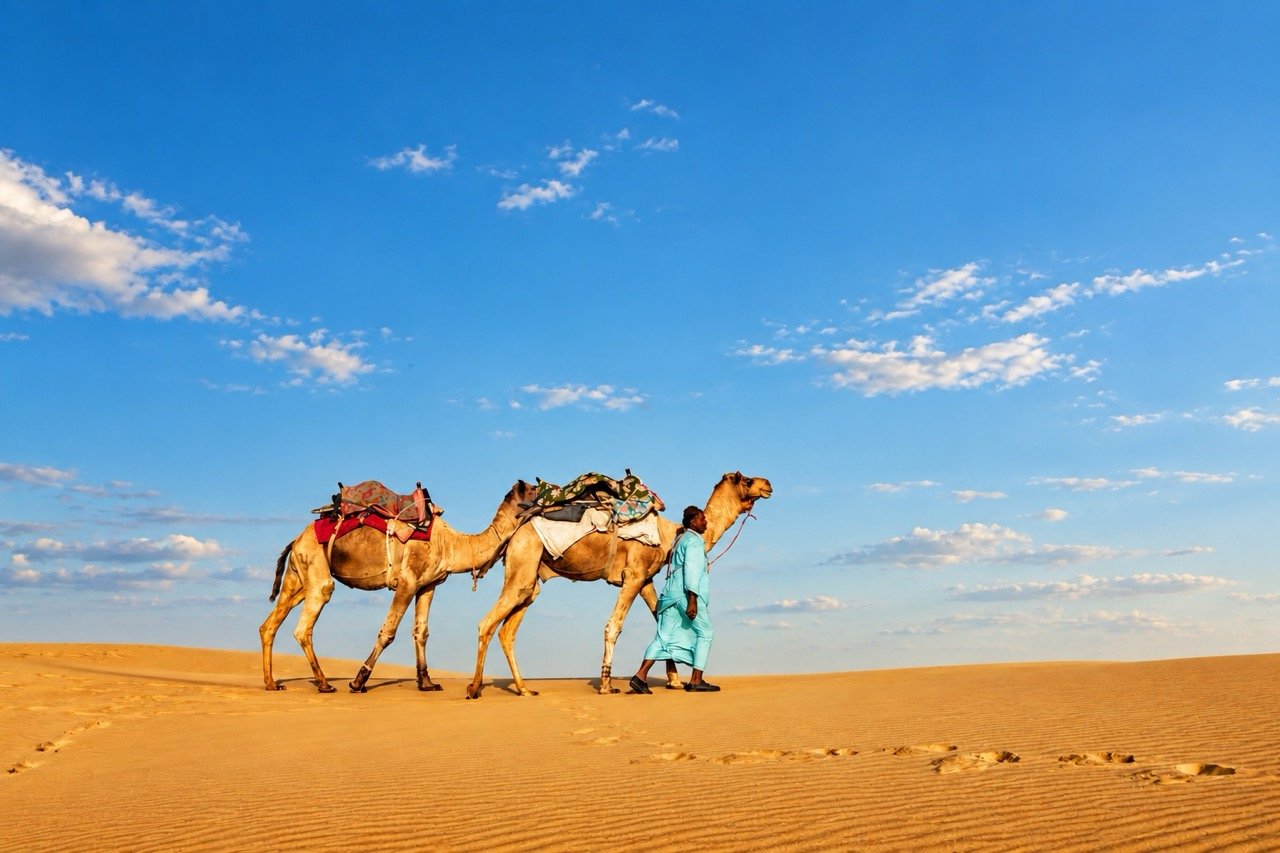 Rajasthan Desert Adventure  Camel Safari