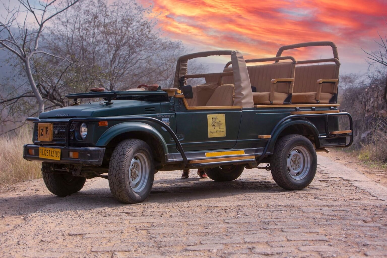 Ranthambhore Gypsy Jeep Safari