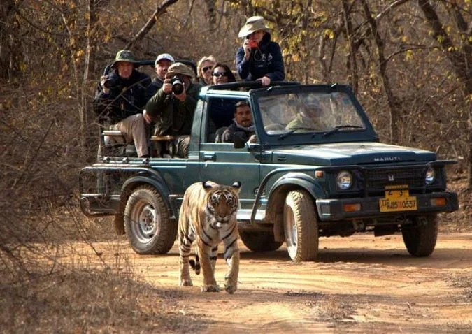 Ranthambore weeekend tour page image