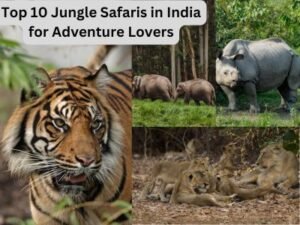 featured image of jungle safari in india