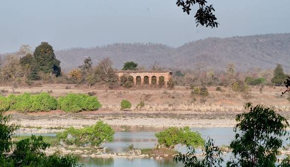 image of Panna national park 